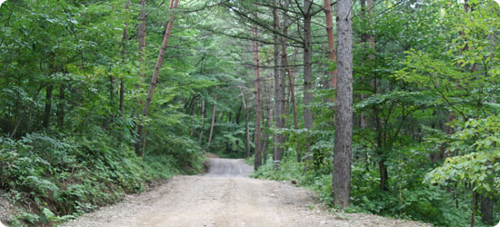 청옥산 사진